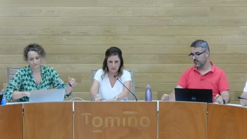 Pleno ordinario 2026_04